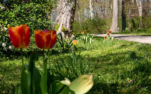 Radtour-Naturpark-Raben-Steinfeld-Wappen c maxpress liste