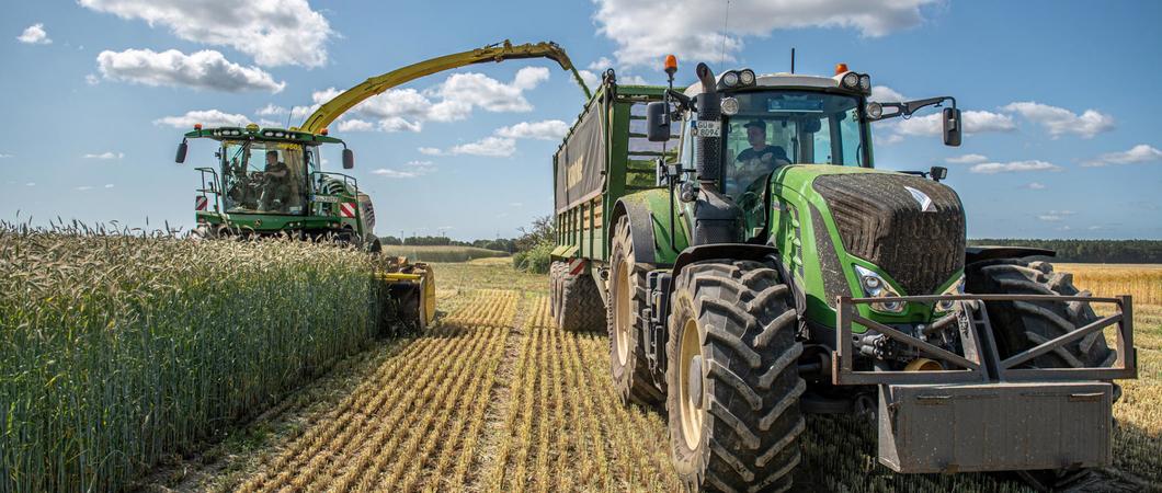 Was hier geerntet wird, ist der Rohstoff für die Biogasanlage, in der aus den Pflanzen „grüner” Strom erzeugt wird. Der Rohstoff wächst auf den Feldern unseres Landes sowie in Nordbrandenburg.