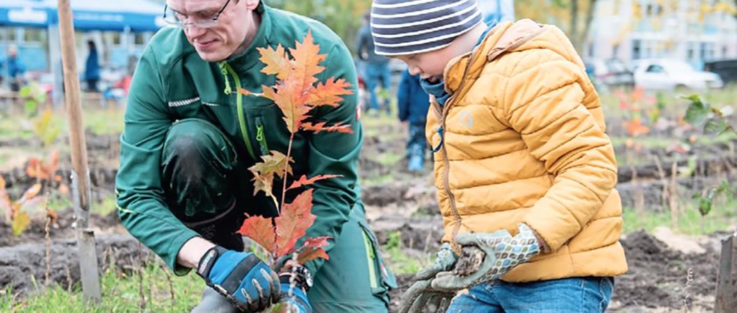 Die freiwilligen Helfer hatten viel Spaß beim Baumpflanzen. Hierbei wurden sie von Fachleuten der Landesforst unterstützt, Fotos: Klima Allianz Schwerin e.V./ Stephanie Mottl