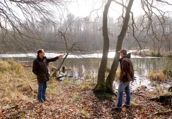 Wer in Schwerin wohnt, hat Wald und Wiese quasi vor der Haustür. Mit seinen etlichen Ökosystemen ist die Stadt auch für seltene Tier- und Pflanzenarten ein echtes Paradies.