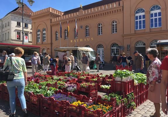 Ab 4. August 2021, wird der Schlachtermarkt erstmals nach seiner Sanierung wieder Schauplatz für den wöchentlichen Frischemarkt.