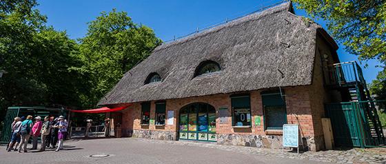 Zoo Schwerin zieht Halbjahresbilanz und hofft auf finanzielle Unterstützung durch die Stadt