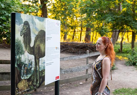 Am Abend des 11. Juni 2022 öffnet der Zoo nochmal seine Pforten zur abendlichen Stunde für die erste ZooKultur des Jahres. Die Abendveranstaltung für das erwachsene Publikum wird geprägt durch die Eröffnung der neuen Ausstellung und einer Autorenlesung,