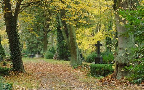 Schwerin-Alter-Friedhof-Weg c maxpress-liste