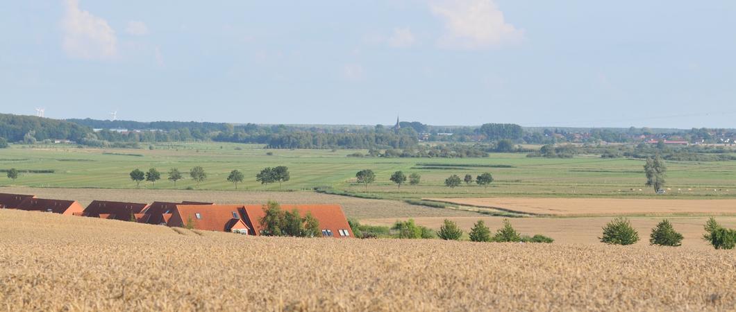 Radtour-Schwerin Entdeckungstour Moor-Wald c LHS-Petra-Pohl