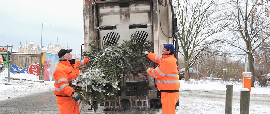 Noch stehen die festlich geschmückten Weihnachtsbäume in den Wohnungen und verschönen mit Lichterglanz die Zimmer. Doch bereites wenige Tage nach dem Fest beginnen die ersten Schwerinerinnen und Schweriner mit dem Abschmücken.