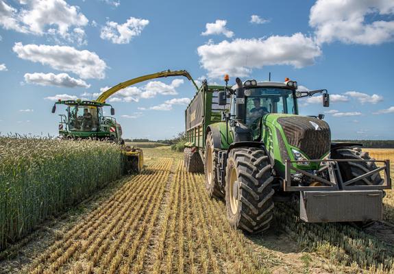 Was hier geerntet wird, ist der Rohstoff für die Biogasanlage, in der aus den Pflanzen „grüner” Strom erzeugt wird. Der Rohstoff wächst auf den Feldern unseres Landes sowie in Nordbrandenburg.