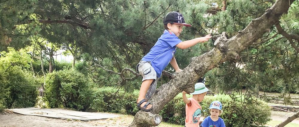 Wer das Gelände der Kita „Sonnenschein“ betritt, findet eine große Freifläche mit viel Grün und einladenden Bewegungs- und Spielelementen vor. Im Inneren können sich die 64 Krippenkinder und 116 Kindergarten-Kids in großzügigen Funktionsräumen austoben.