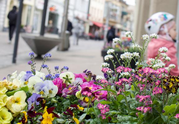 Seit April ist die Schweriner Innenstadt wieder farbiger.