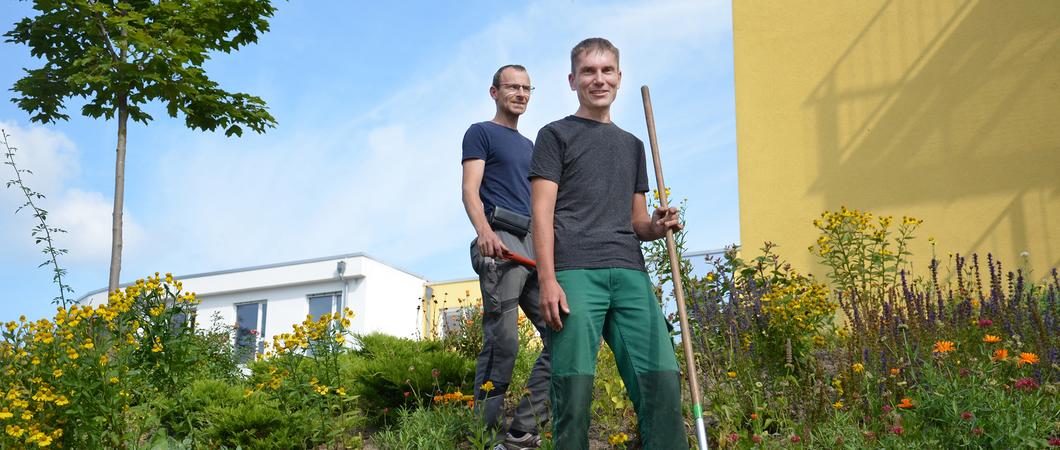 René Freuck konnte seinen ersten Arbeitstag im Kinderzentrum kaum erwarten. Seit dem 1. September ist er als Hausmeisterhelfer zwischen Grünanlagen, Handwerks-Kita und den Gebäuden in der Wismarschen Straße unterwegs. Dass er seinen Traumjob gefunden hat