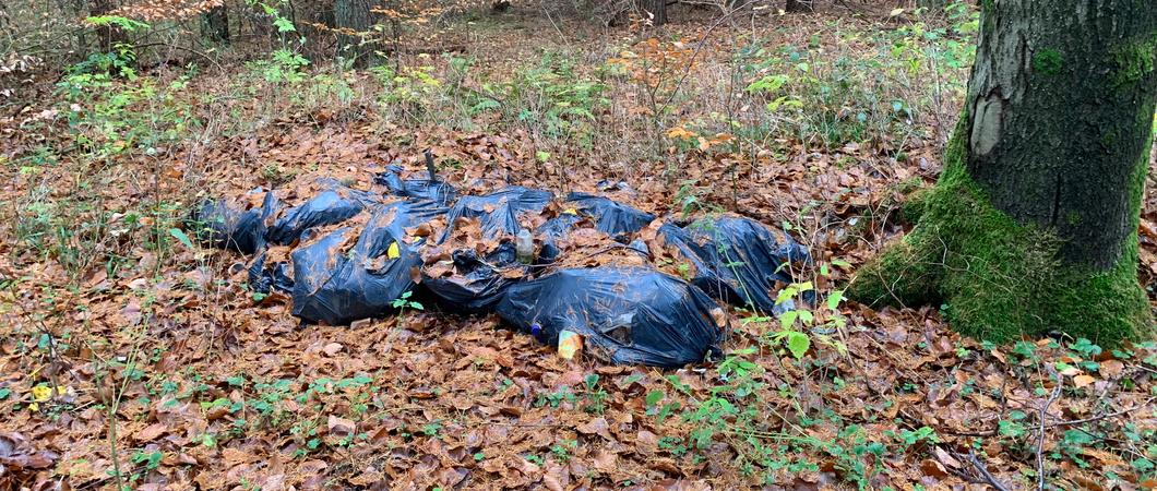 Sechs Wochen nach dem großflächigen Cyberangriff auf die Schweriner Stadtverwaltung können Bürgerinnen und Bürger der Verwaltung wieder über das Portal www.klarschiff-sn.de einfach und unkompliziert Schäden und Mängel melden.