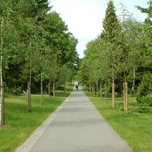 Schwerin-Alter-Friedhof-Birkenweg c maxpress content 2