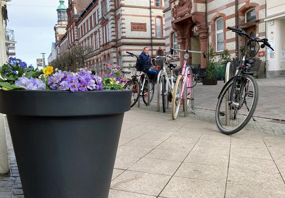 Unter dem zentralen Motto „Schwerin blüht auf“ begeht die Schweriner Innenstadtgemeinschaft den ersten verkaufsoffenen Sonntag des Jahres.