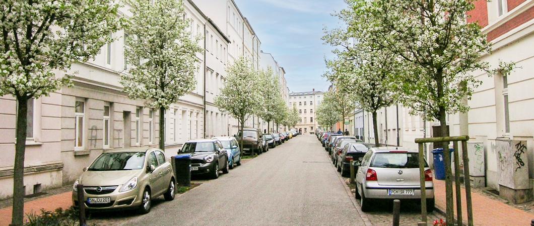 Die Stadtbirne in der Gartenstraße ist ein Klimabaum und passt ins Straßenbild