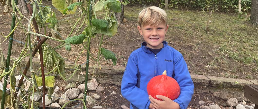 Mit einer Familienfeier starten die Kinder der Kita gGmbH in den Herbst. Das Fest steht dabei ganz im Zeichen des eigenen Gemüseanbaus der Naturkita: Die gemeinsame Ernte, spaßige Bastelaktionen und leckeres Essen versprechen ein tolles Beisammensein.