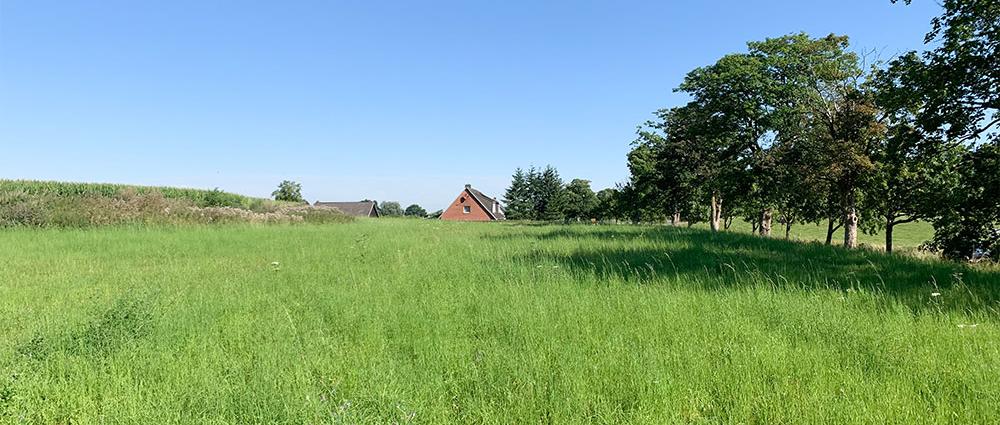 Für die Außenbereichslücke entlang der Grevesmühlender Straße ist ein neues Wohngebiet geplant