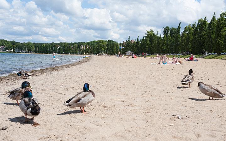 Radtour-Zippendorf-Strand-Schweriner-See c maxpress content 1