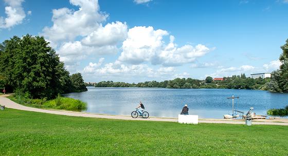 Lankower-See-Schwerin Radweg c maxpress content 1