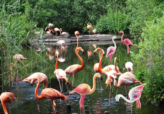 Am 22. Juli 2020 stehen allen Kindern aus dem Nordosten 20 Tierparks offen und der Eintritt ist bis zum Alter von 14 Jahren kostenlos