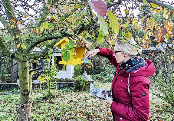 Futterplätze für Vögel und Eichhörnchen müssen sauber gemacht werden