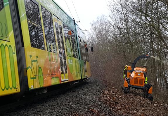 Der SDS – Stadtwirtschaftliche Dienstleistungen lässt vom 12. Januar bis voraussichtlich 26. Januar durch einen Fachbetrieb im Bereich Medienhaus Nord bis Lennéstraße Baumpflege-und Fällarbeiten durchführen.