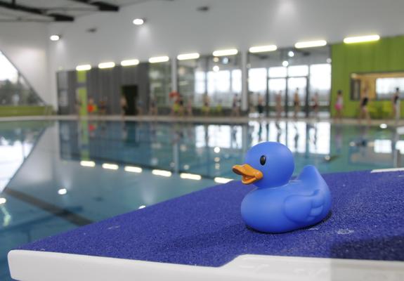 Bahnen ziehen in der Schwimmhalle ist in den Weihnachtsferien zu gesonderten Zeiten möglich