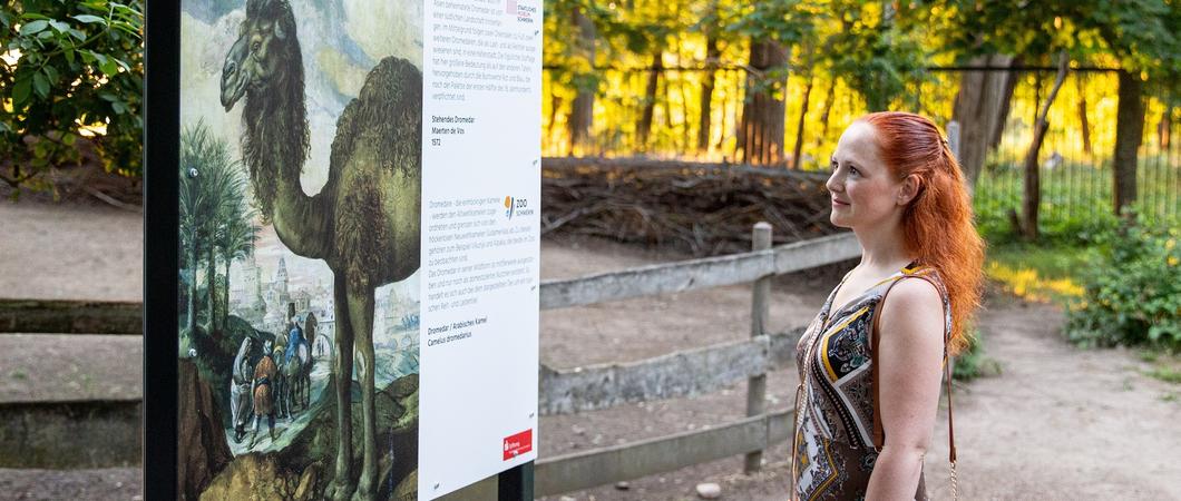 Am Abend des 11. Juni 2022 öffnet der Zoo nochmal seine Pforten zur abendlichen Stunde für die erste ZooKultur des Jahres. Die Abendveranstaltung für das erwachsene Publikum wird geprägt durch die Eröffnung der neuen Ausstellung und einer Autorenlesung,