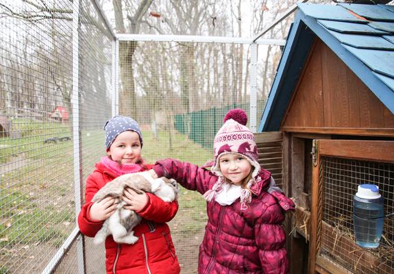 Helene und Smilla besuchen Häsin Trudi in ihrem Gehege