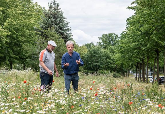 Auf dem Grünstreifen zwischen Hamburger Allee und Ziolkowski- straße summt und brummt es. Es blüht in allen Farben und riecht nach frischen Gräsern und Kräutern.