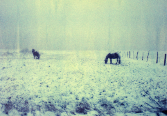 Mit dem zweiten Teil der Fotografie-Ausstellung von Knut Maron präsentiert das Kulturforum Schleswig-Holstein-Haus ab Mittwoch dem 5. Januar 2022 eine beeindruckende Sammlung von Polaroidfotografien.