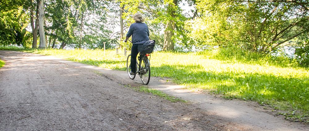 Wer mit dem Rad am südöstlichen Ufer des Faulen Sees unterwegs ist, hat es ganz sicher bemerkt: Das Radeln auf dem unbefestigten Weg ist bei Regen und durch Pfützen schwierig.