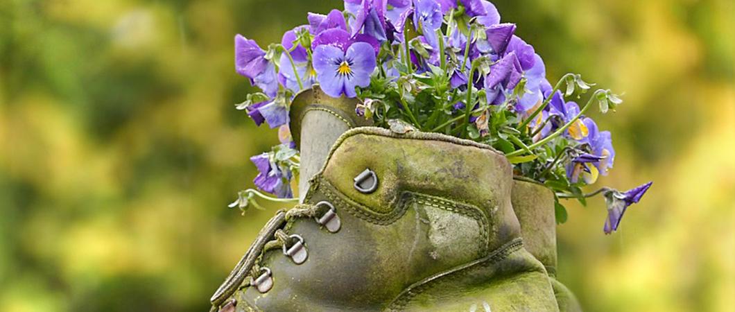 Wer freut sich nicht, wenn sogar bei kühlen Temperaturen die ersten bunten Blumen aus dem Boden sprießen? Viele Mieter sorgen zudem selbst für Farbe und Frische und lassen den Frühling in die eigenen vier Wände einziehen