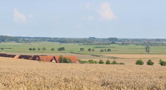 Radtour-Schwerin Entdeckungstour Moor-Wald c LHS-Petra-Pohl