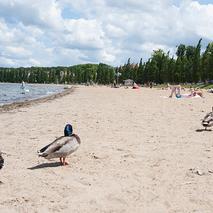 Radtour-Zippendorf-Strand-Schweriner-See c maxpress content 1