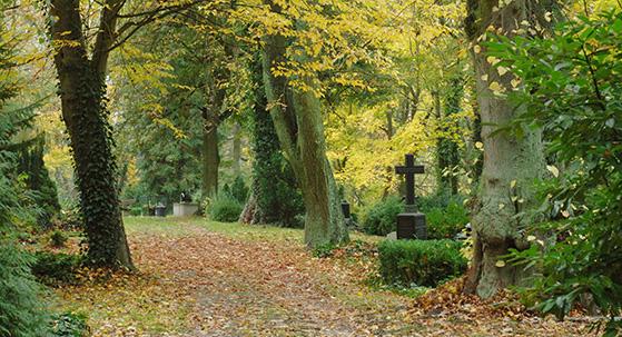 Schwerin-Alter-Friedhof-Weg c maxpress-liste