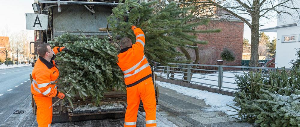 Ausgediente Weihnachtsbäume werden vom 6. bis 17. Januar 2020 entsorgt