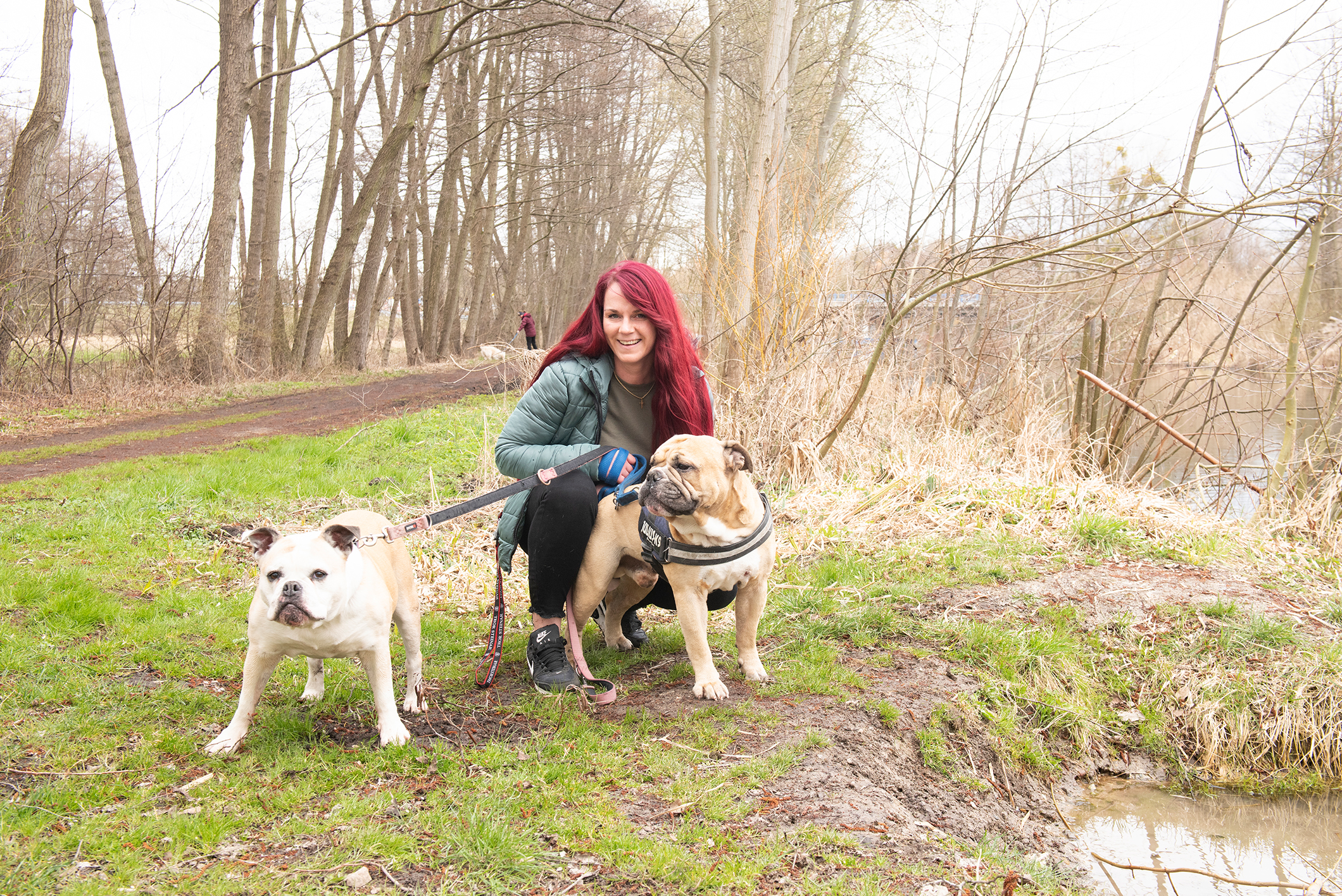 Die Old English Bulldoggen Rosi und Oskar halten Busfahrerin Adeline Wulff nach Feierabend auf Trab