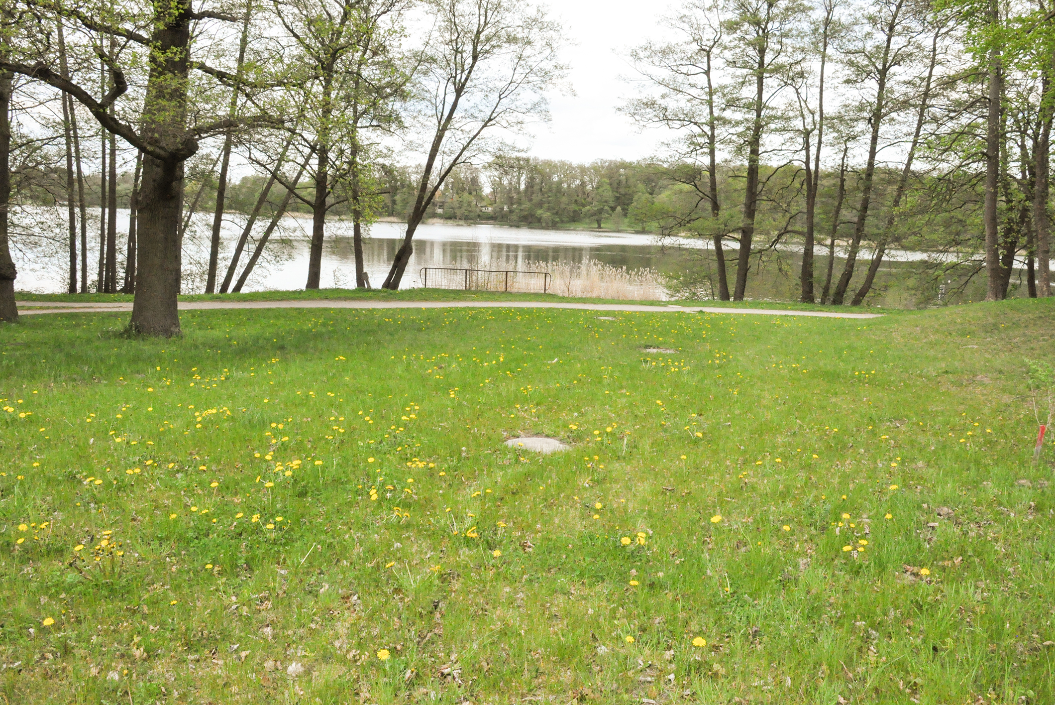 Die Anlage an der Gutenbergstraße entstand vor drei Jahren. Heute deckt eine Wiese den Baukörper ab